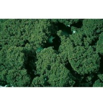 Pěnový posyp střední – listově zelený