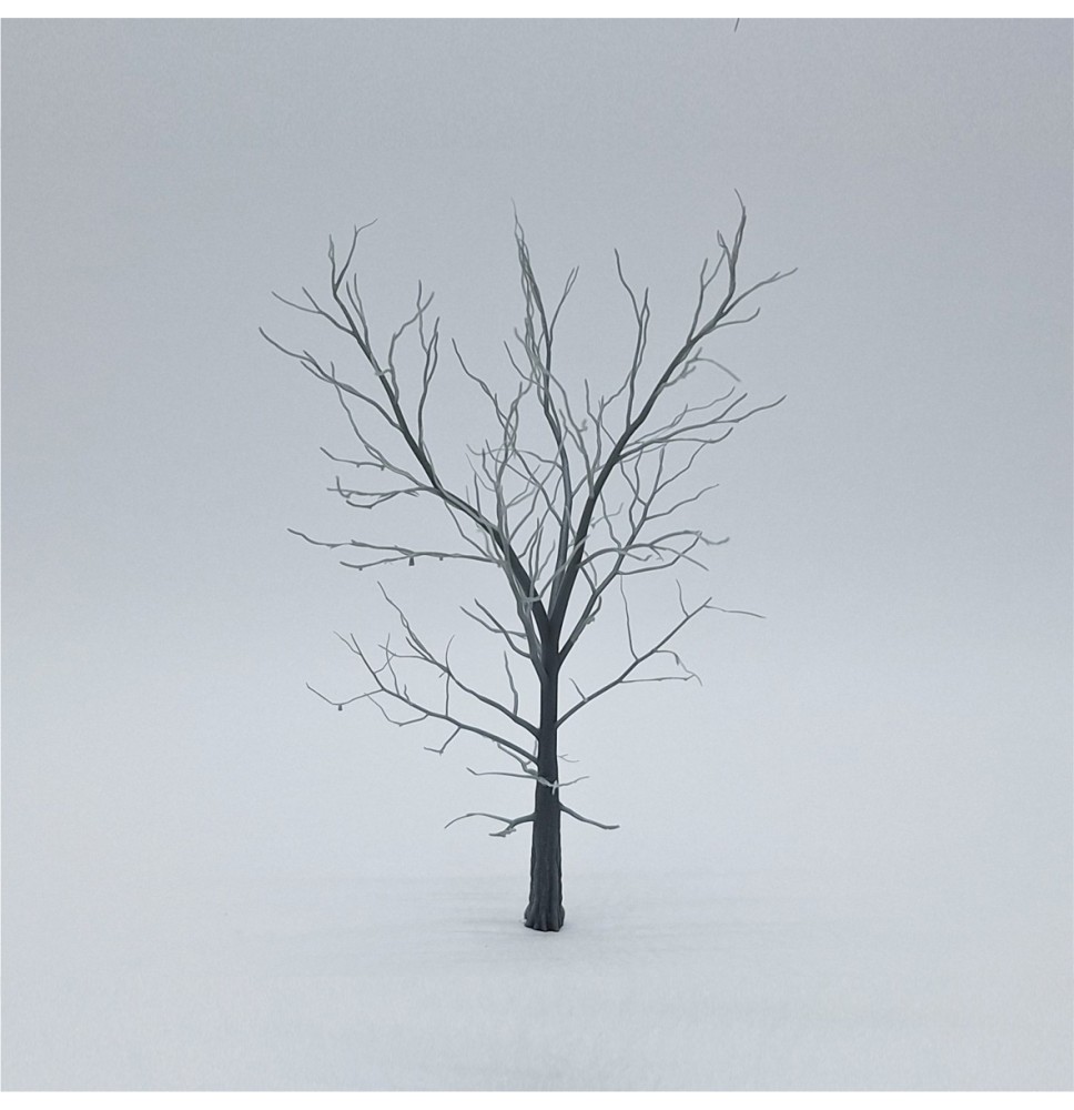 Kostra stromu – buk 100 mm