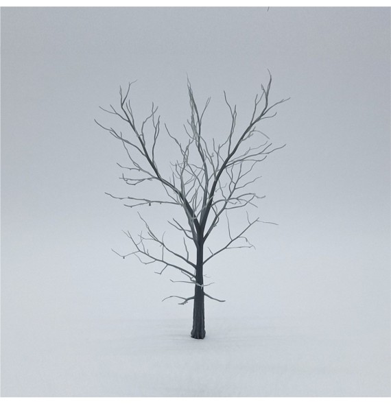 Kostra stromu – buk 100 mm