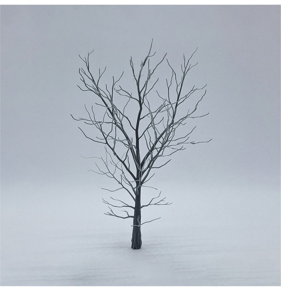 Kostra stromu – buk 120 mm