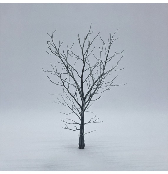 Kostra stromu – buk 120 mm