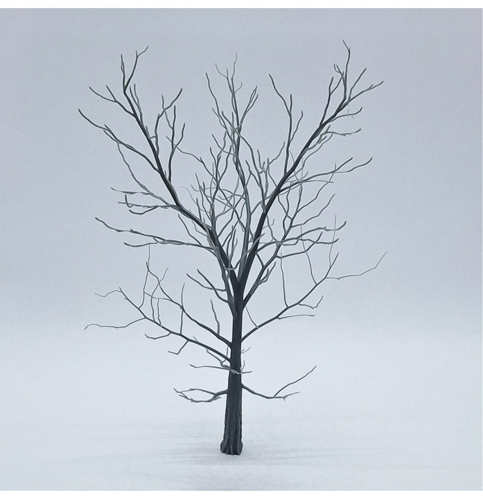 Kostra stromu – buk 140 mm