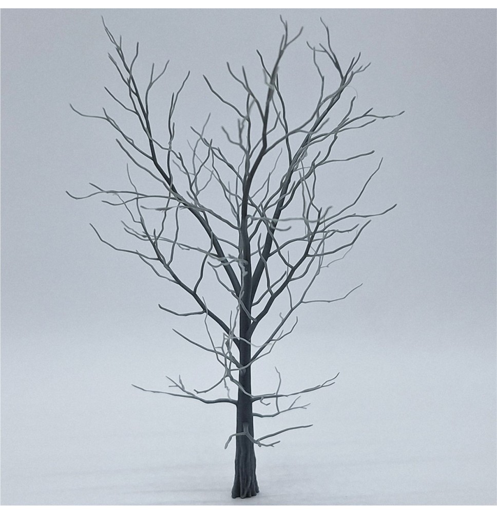 Kostra stromu – buk 160 mm