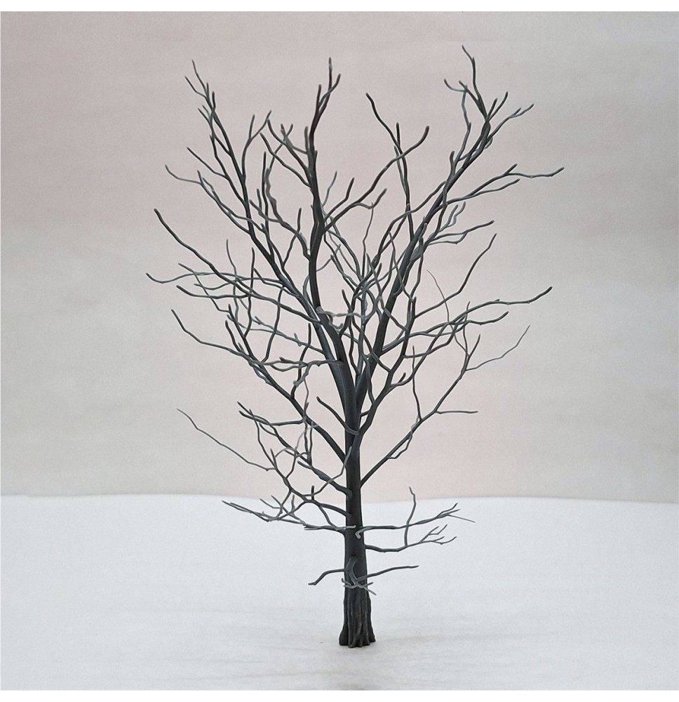 Kostra stromu – buk 200 mm