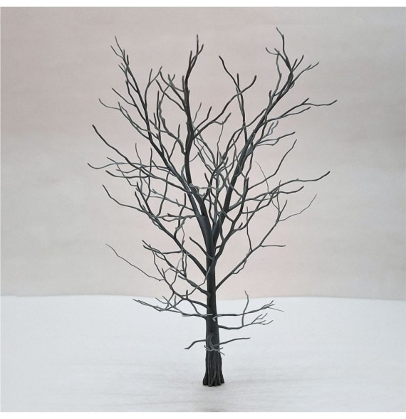 Kostra stromu – buk 200 mm