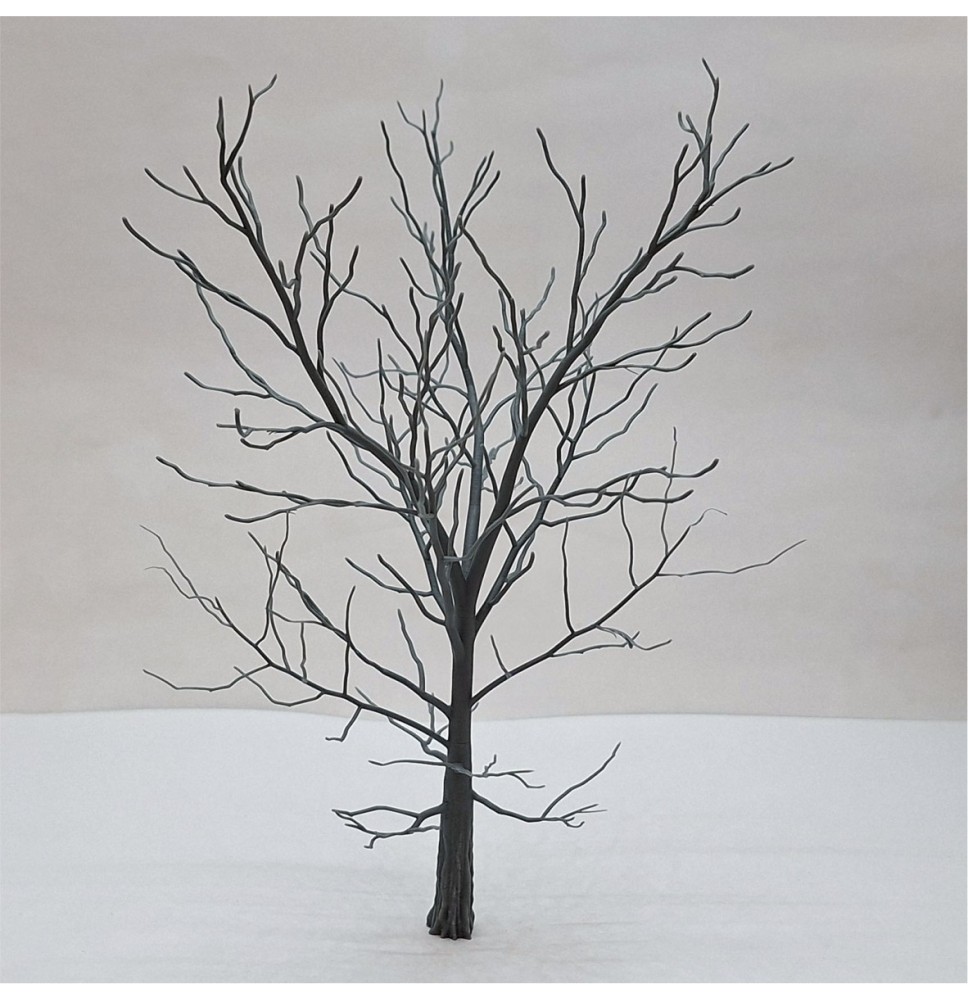 Kostra stromu – buk 250 mm