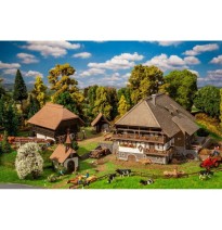 Sada Schwarzwaldský Vogtsbauernhof