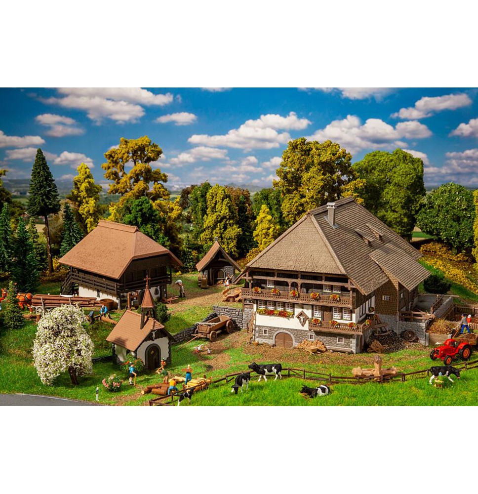 Sada Schwarzwaldský Vogtsbauernhof