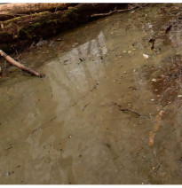 WATER GEL SWAMP GREEN EFFECTS