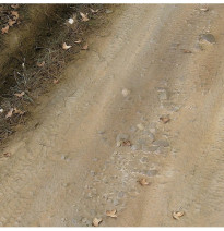 TERRAINS LIGHT EARTH