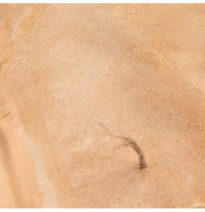 TERRAINS SANDY DESERT