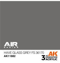 3GEN Have Glass Grey FS 36170 - AIR