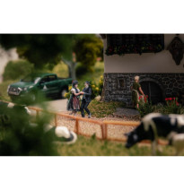 Jubiläumsmodell – Schwarzwaldhof