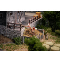 Jubiläumsmodell – Schwarzwaldhof