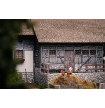 Jubiläumsmodell – Schwarzwaldhof