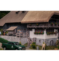 Jubiläumsmodell – Schwarzwaldhof