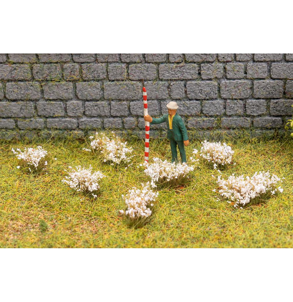 Kvetoucí trsy – bílé