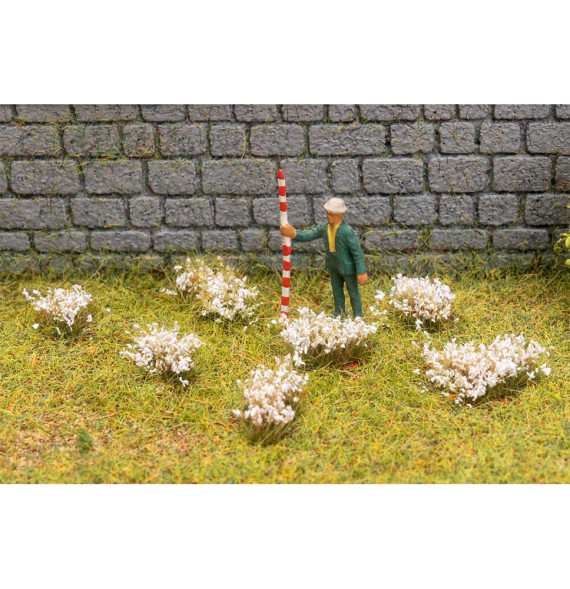 Kvetoucí trsy – bílé