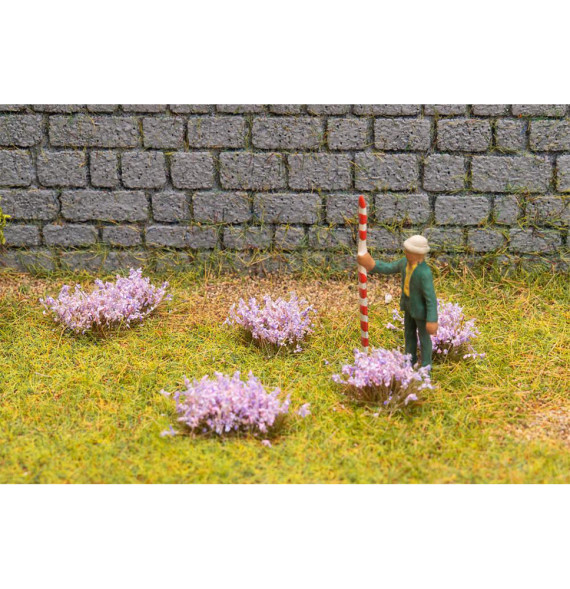 Kvetoucí trsy – fialové