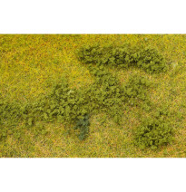 Listová foliáž – zelená