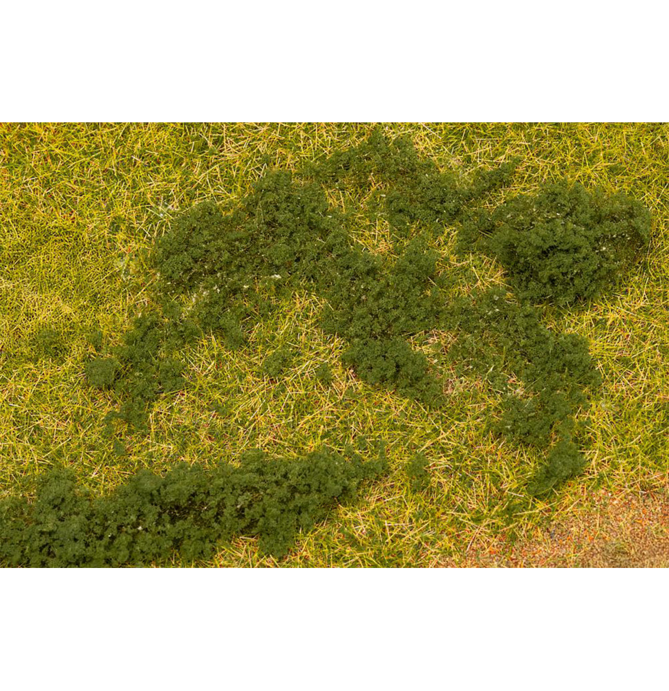 Listová foliáž – tmavě zelená