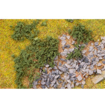 Listová foliáž – borovicová