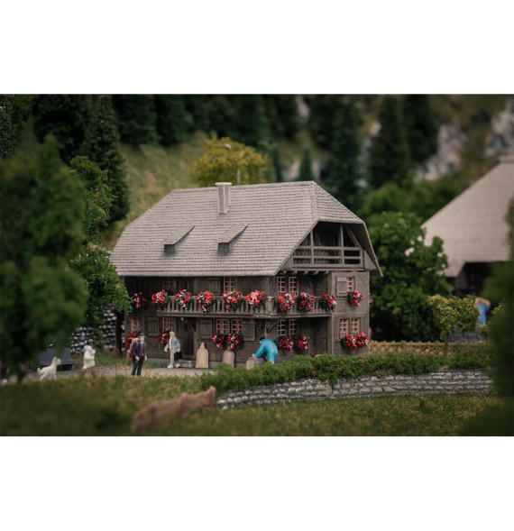 Jubiläumsmodell – hodinářství