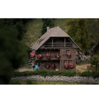 Jubiläumsmodell – hodinářství