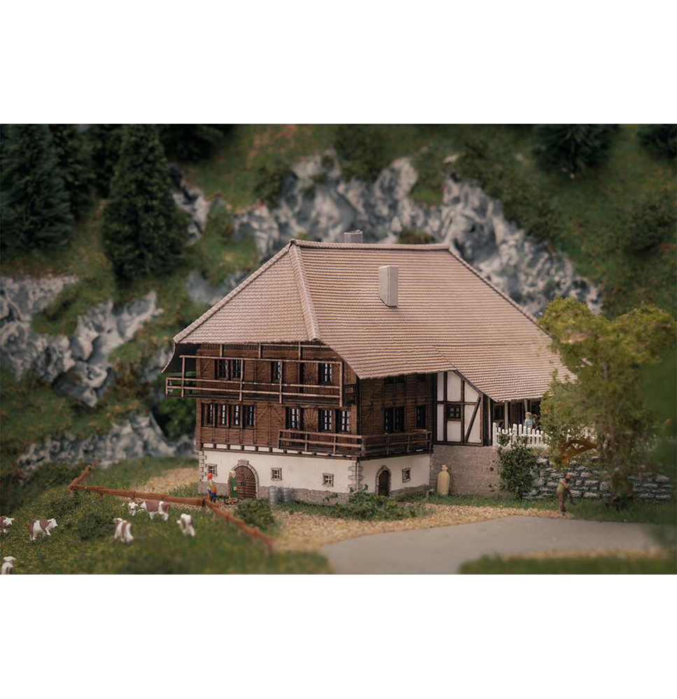 Jubiläumsmodell – Schwarzwaldhof