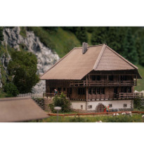 Jubiläumsmodell – Schwarzwaldhof