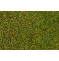 Statická tráva časná letní louka 4 mm