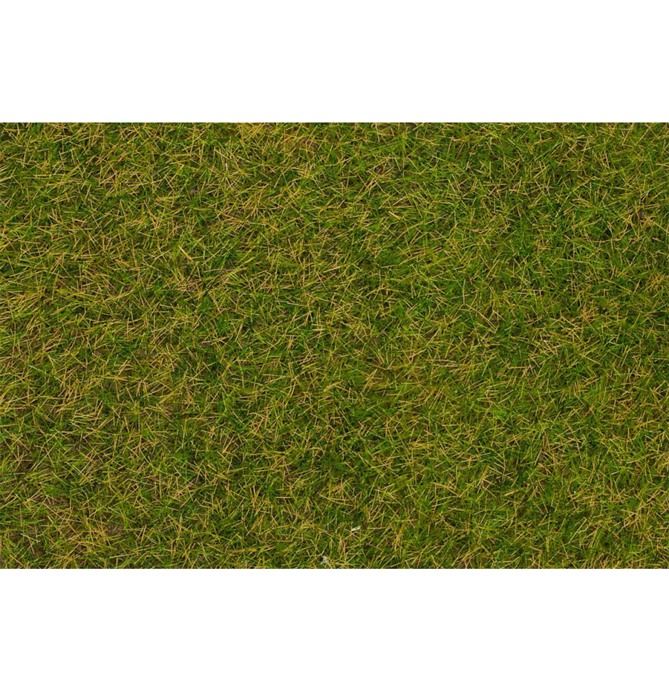 Statická tráva časná letní louka 4 mm