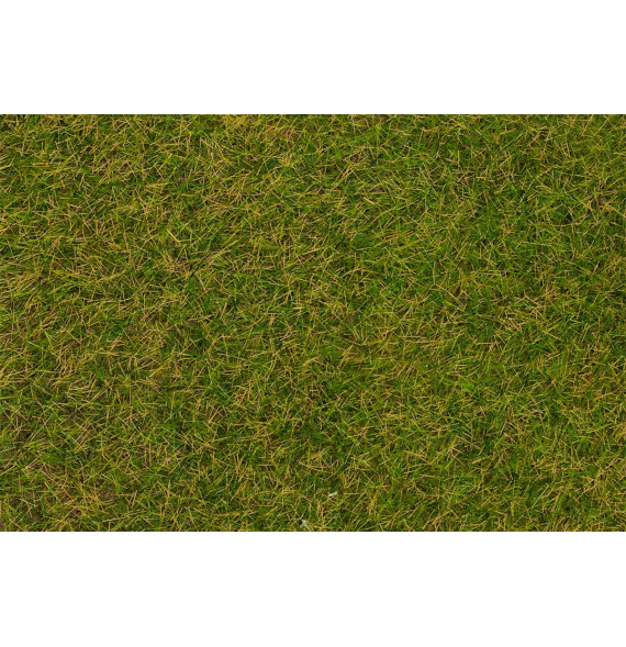 Statická tráva časná letní louka 4 mm