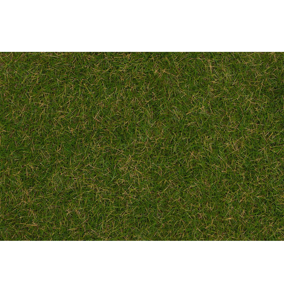 Statická tráva letní louka 4 mm