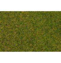 Statická tráva časná letní louka 4 mm