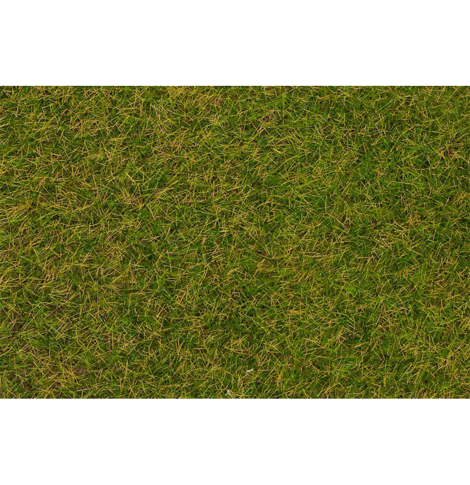 Statická tráva časná letní louka 4 mm