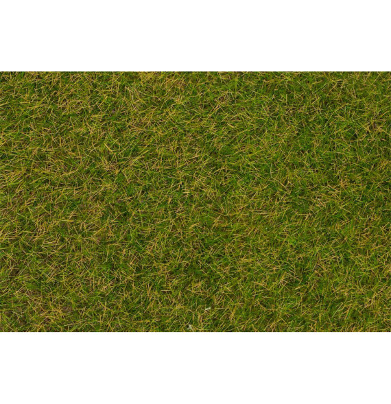 Statická tráva časná letní louka 4 mm