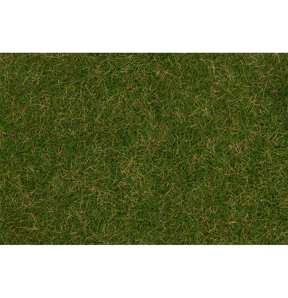Statická tráva letní louka 4 mm