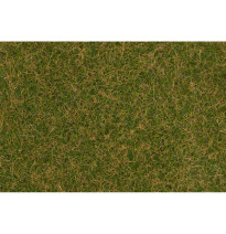 Statická tráva hnědozelená 4 mm