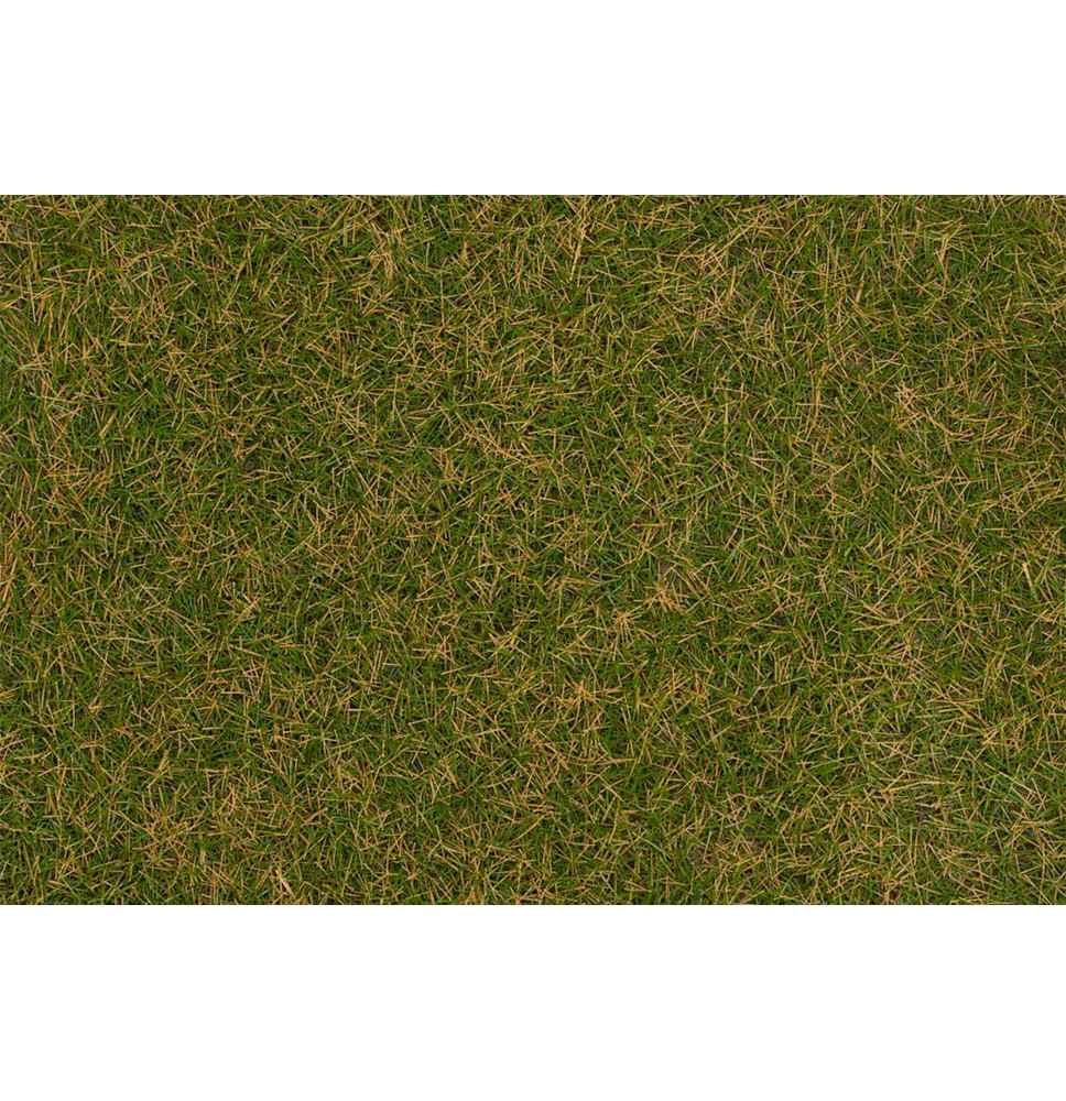 Statická tráva hnědozelená 4 mm