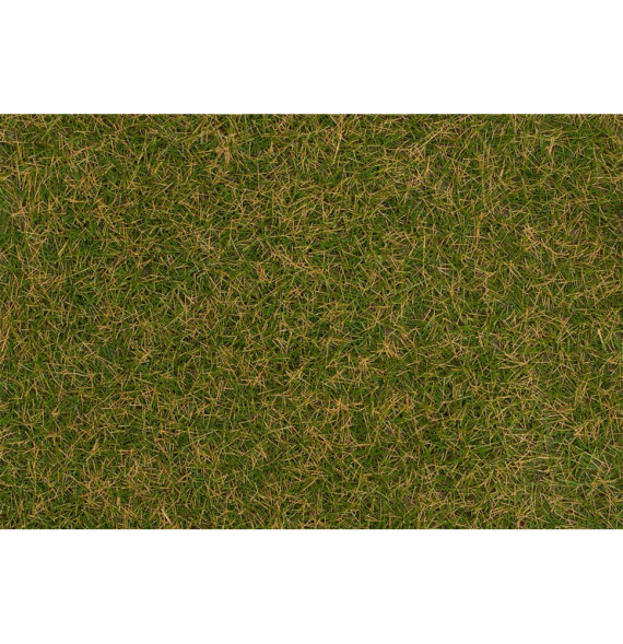 Statická tráva hnědozelená 4 mm