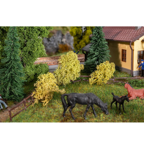 Islandský mech olivově zelený