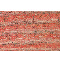 Mauerplatte – tunel