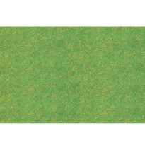 Statická tráva travní zelená