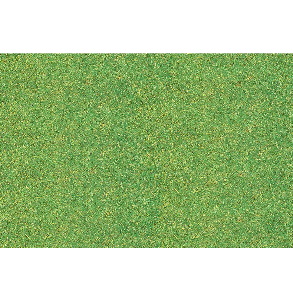 Statická tráva travní zelená