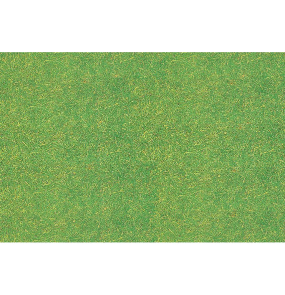 Statická tráva travní zelená