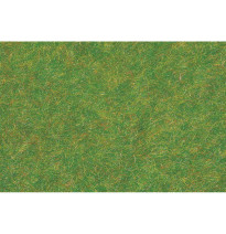 Statická tráva tmavě zelená