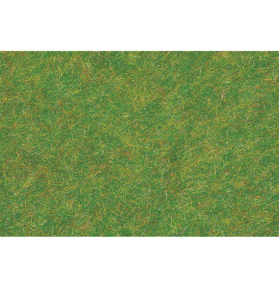 Statická tráva tmavě zelená