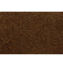 Statická tráva lesní hnědá