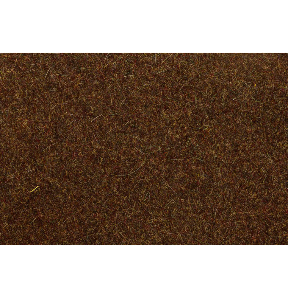 Statická tráva lesní hnědá